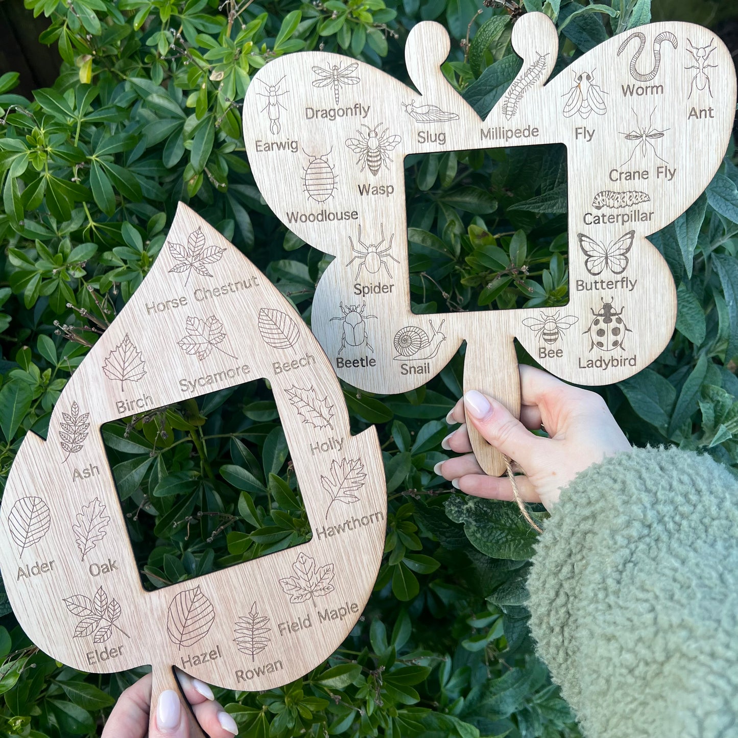 Forest School Insect Identifier With Frame Viewer
