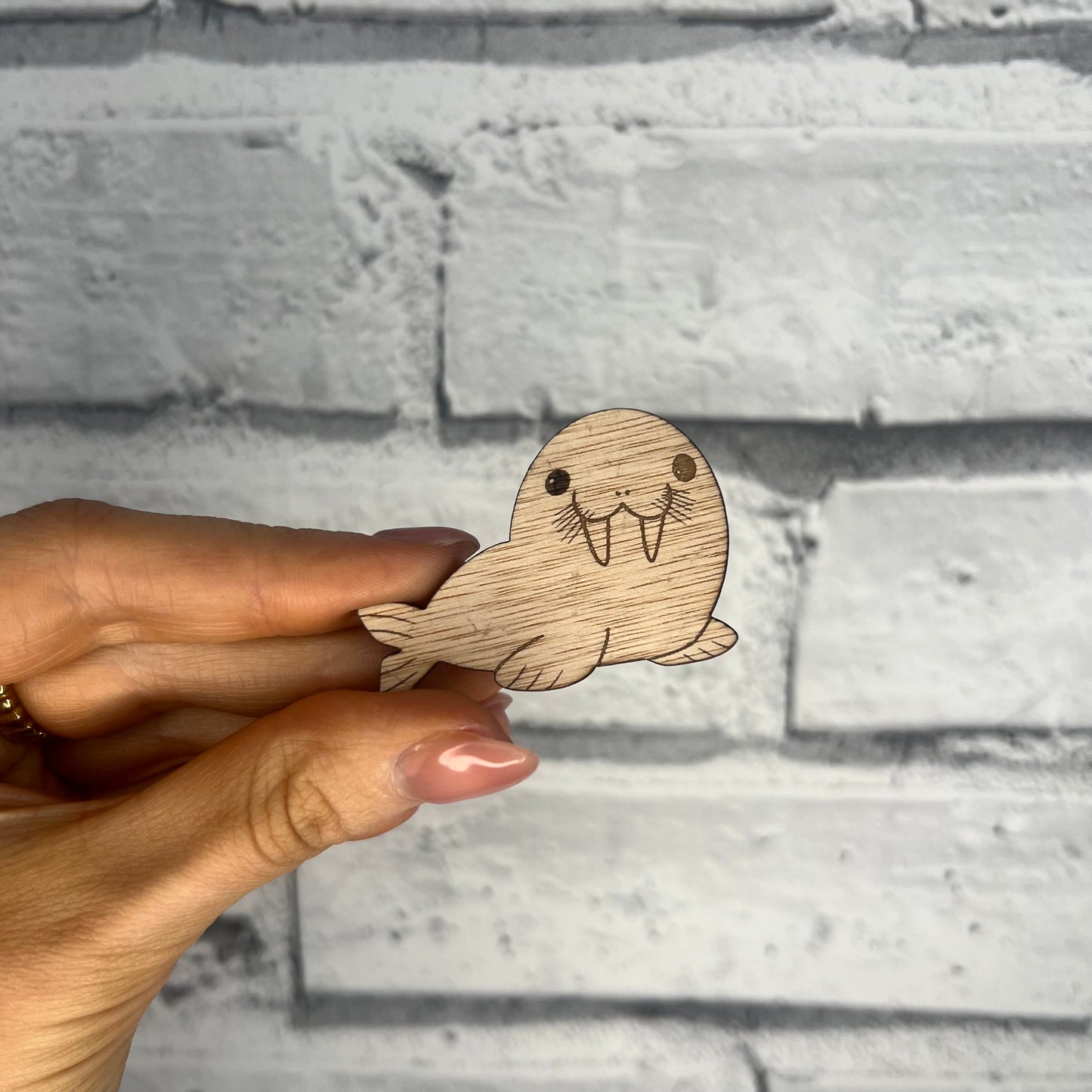 Winter The Worry Walrus