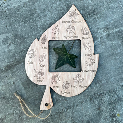 Forest School Leaf Identifier With Frame Viewer