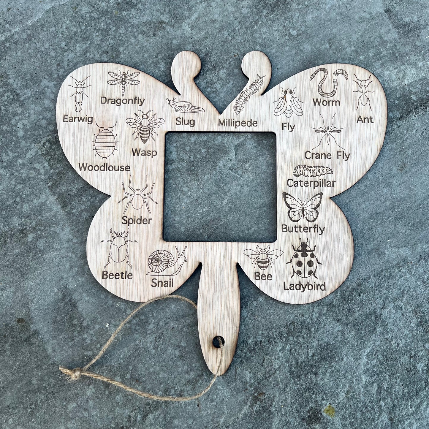 Forest School Insect Identifier With Frame Viewer