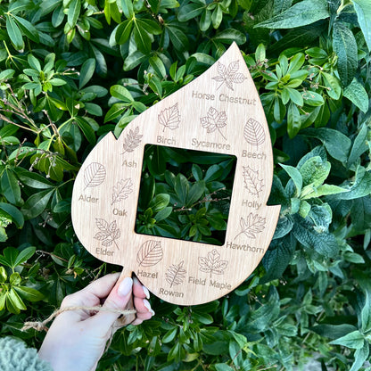 Forest School Leaf Identifier With Frame Viewer
