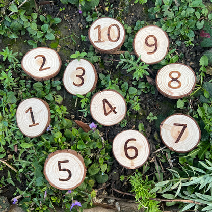 Forest School Log Slice Numbers and Symbols