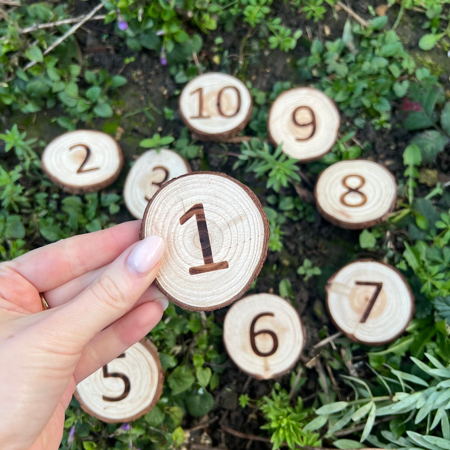 Forest School Log Slice Numbers and Symbols