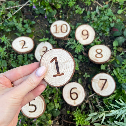 Forest School Log Slice Numbers and Symbols