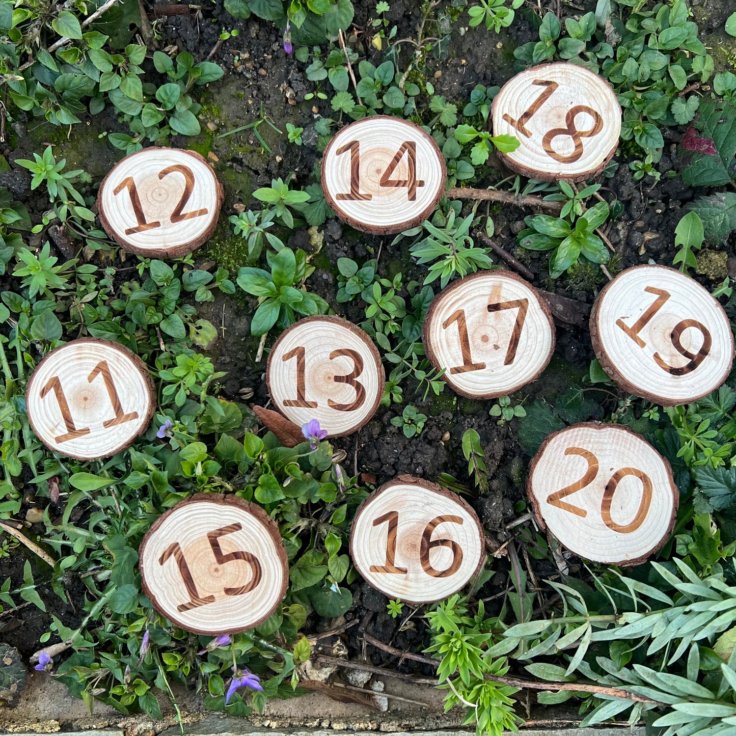 Forest School Log Slice Numbers and Symbols