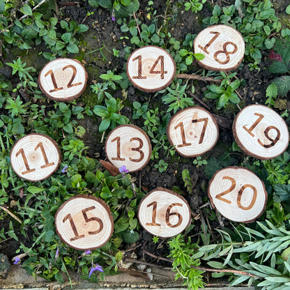 Forest School Log Slice Numbers and Symbols
