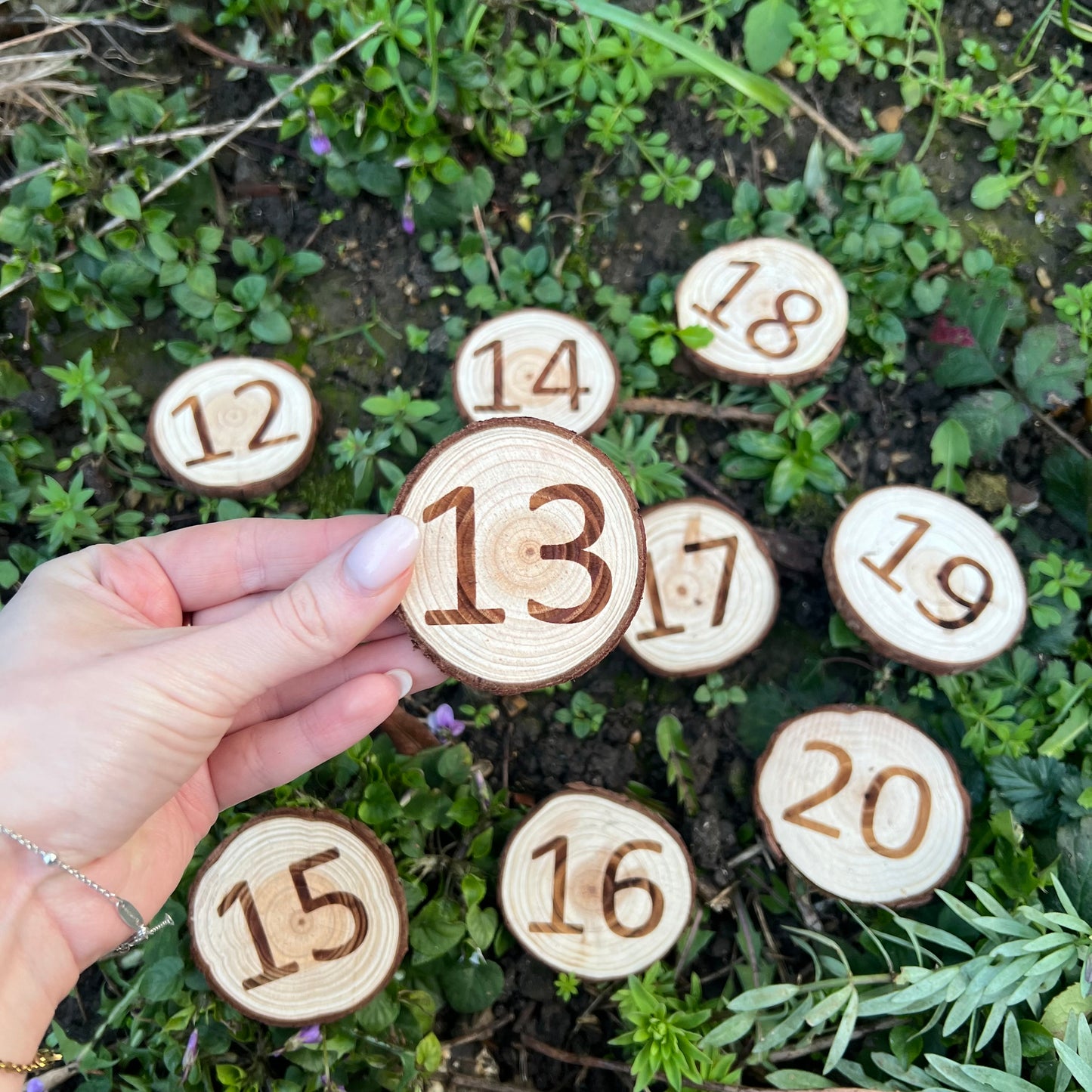 Forest School Log Slice Numbers and Symbols