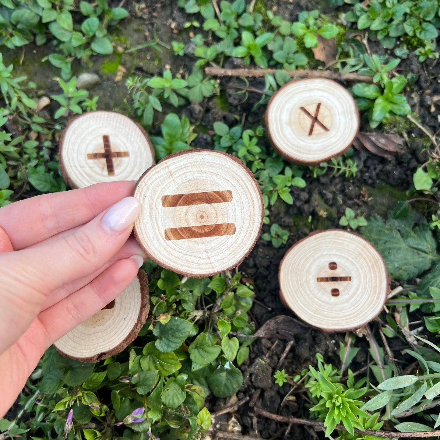 Forest School Log Slice Numbers and Symbols