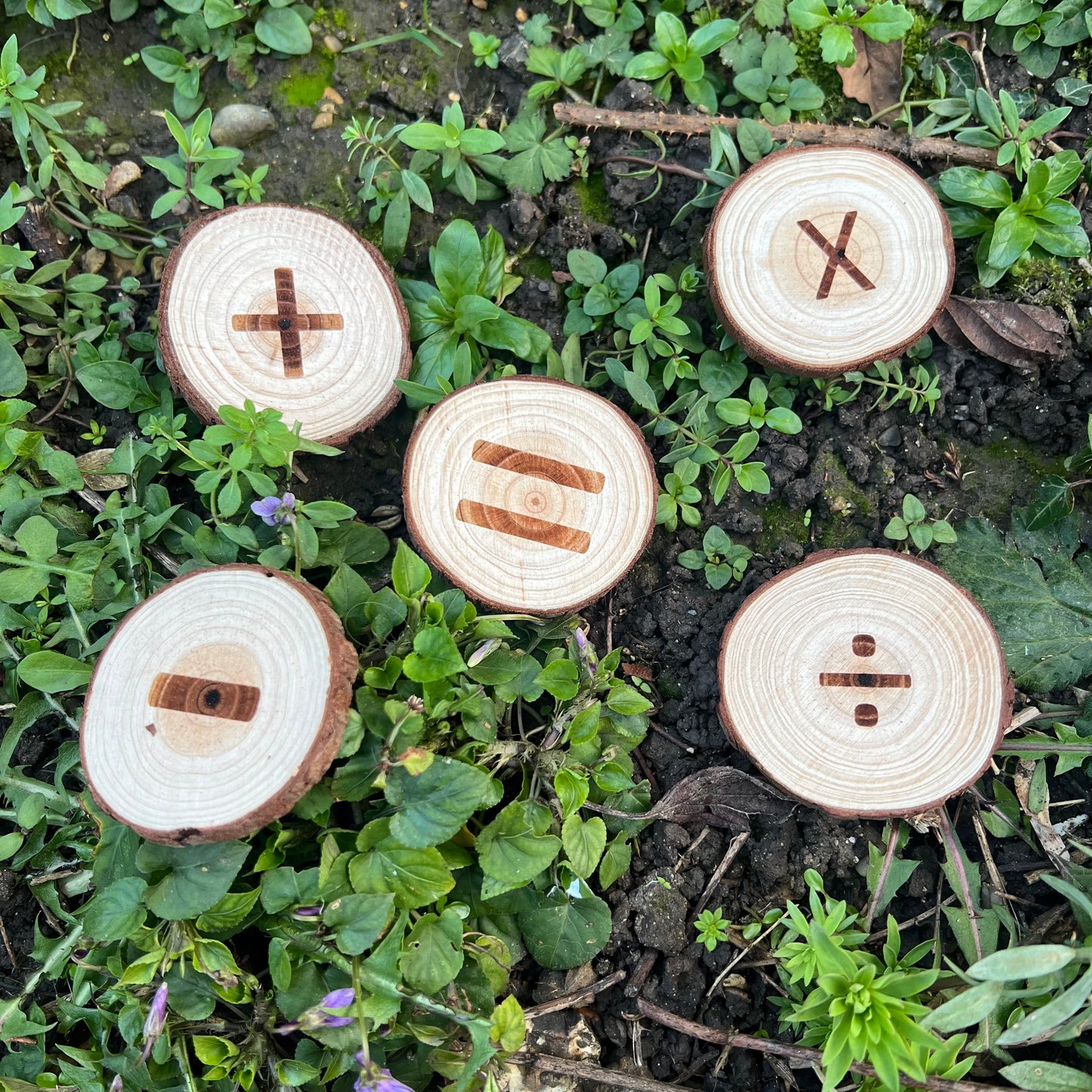Forest School Log Slice Numbers and Symbols