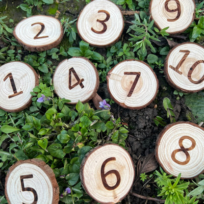 Forest School Log Slice Numbers and Symbols